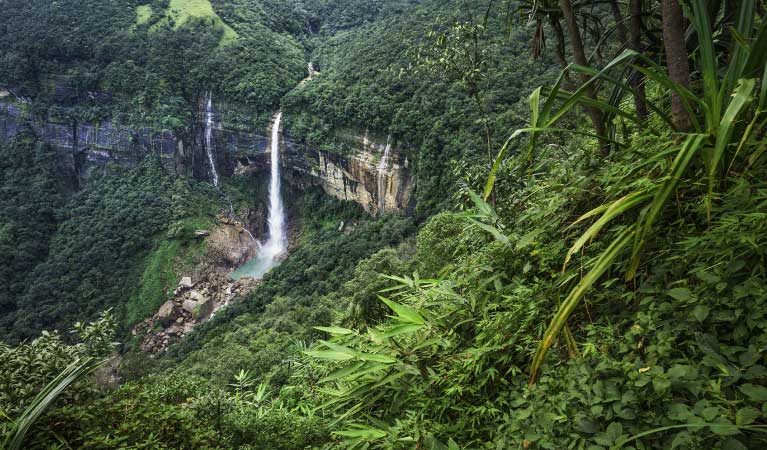 Meghalaya